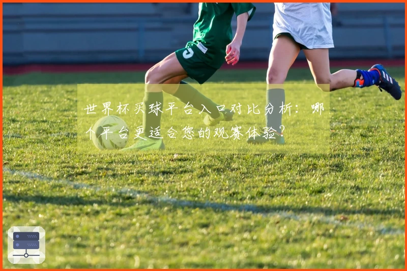 世界杯买球平台入口对比分析：哪个平台更适合您的观赛体验？