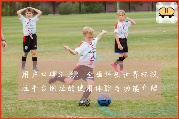 用户口碑汇总：全面评测世界杯投注平台地址的使用体验与功能介绍