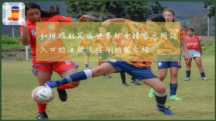 如何顺利完成世界杯竞猜官方网站入口的注册流程与功能介绍