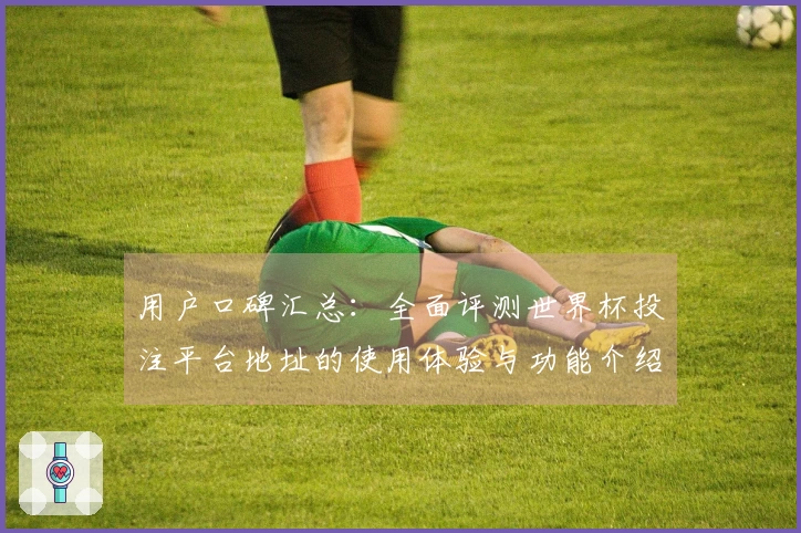 用户口碑汇总：全面评测世界杯投注平台地址的使用体验与功能介绍